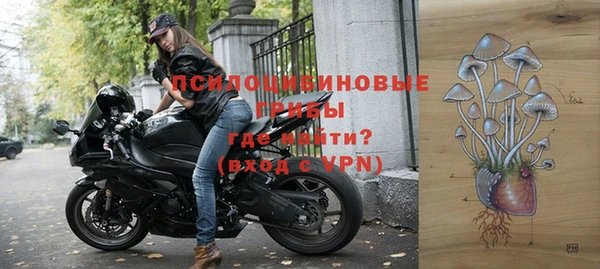 мдпв Володарск