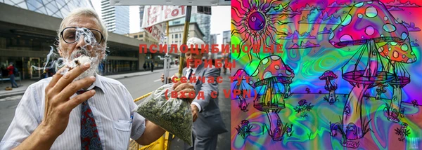 тгк Волосово