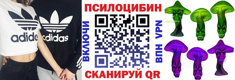 Купить  Барыш  Галлюциногенные грибы Psilocybe 